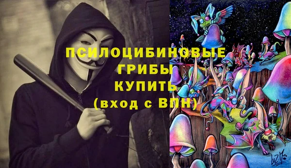 амф Белоозёрский